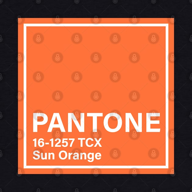 pantone 16-1257 TCX Sun Orange by princessmi-com